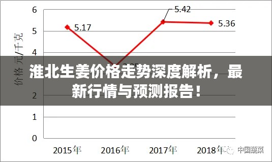 淮北生姜價格走勢深度解析，最新行情與預(yù)測報告！