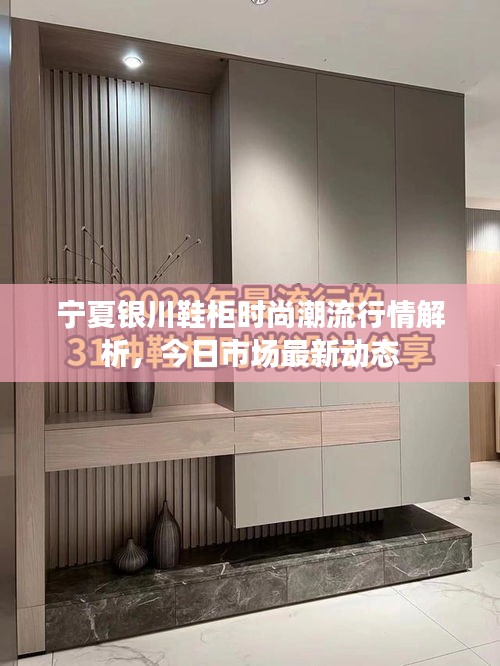 寧夏銀川鞋柜時(shí)尚潮流行情解析，今日市場(chǎng)最新動(dòng)態(tài)