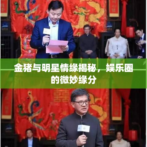 金豬與明星情緣揭秘，娛樂圈的微妙緣分