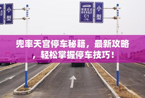 兜率天宮停車秘籍，最新攻略，輕松掌握停車技巧！
