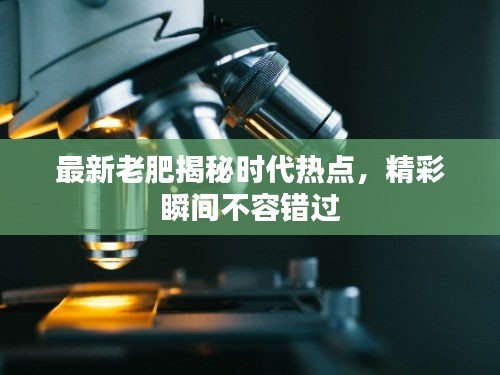 最新老肥揭秘時代熱點，精彩瞬間不容錯過