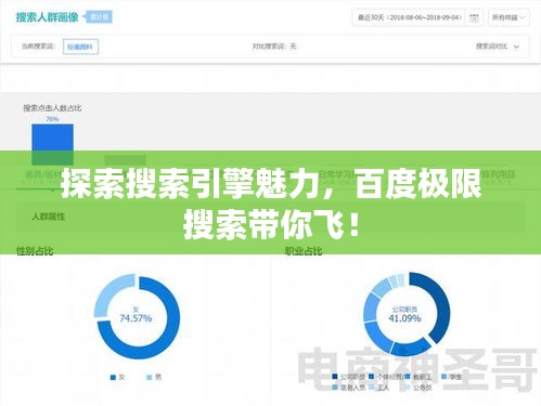探索搜索引擎魅力，百度極限搜索帶你飛！