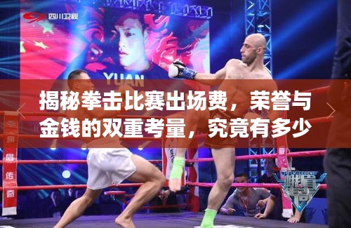 揭秘拳擊比賽出場費，榮譽與金錢的雙重考量，究竟有多少？