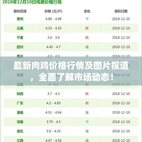 最新肉雞價(jià)格行情及圖片報(bào)道，全面了解市場動態(tài)！