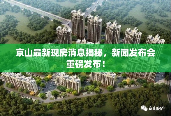 京山最新現(xiàn)房消息揭秘，新聞發(fā)布會重磅發(fā)布！