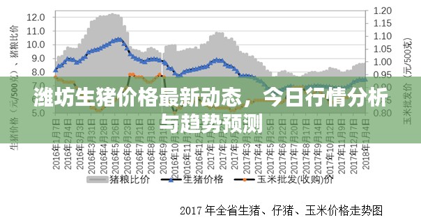 濰坊生豬價(jià)格最新動(dòng)態(tài)，今日行情分析與趨勢(shì)預(yù)測(cè)