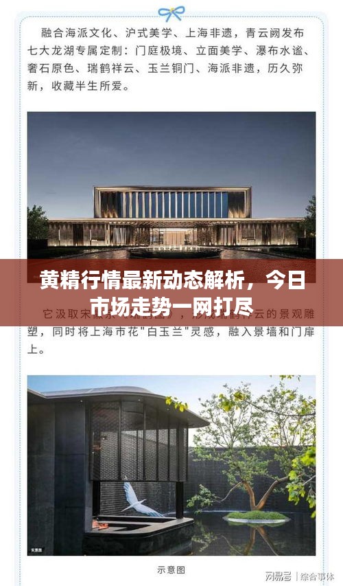 黃精行情最新動態(tài)解析，今日市場走勢一網(wǎng)打盡